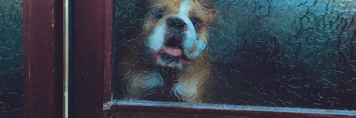 Frustracja czy panika? Dlaczego diagnoza źródła lęku jest kluczowa.